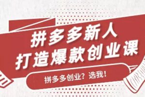拼多多新人打造爆款創業課：快速引流持續出單，適用于所有新人