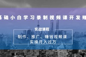 0基礎(chǔ)小白學(xué)習(xí)錄制視頻課開發(fā)賺錢：制作、推廣、賺錢視頻課 實操月入過萬
