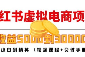 小紅書虛擬電商項目：從小白到精英 (視頻課程 交付手冊)
