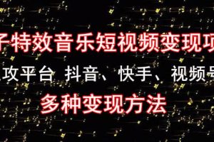 《粒子特效音樂短視頻變現(xiàn)項目》主攻平臺 抖音、快手、視頻號 多種變現(xiàn)方法
