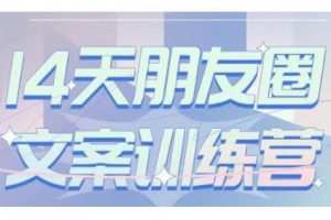 S商學院·14天朋友圈文案訓練營，聽了就會寫，寫了就會賣的朋友圈文案課