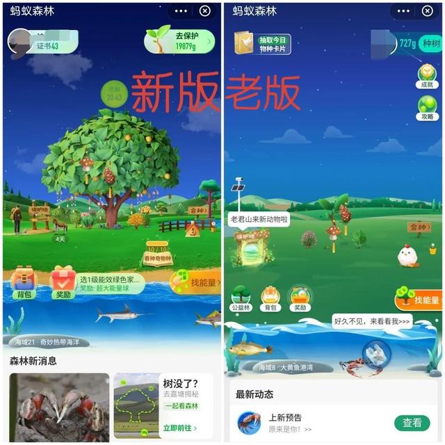 螞蟻森林—天9000能量螞蟻森林一天9000能量森林能量產(chǎn)生規(guī)則插圖