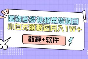 人人都能操作的藍(lán)海多多視頻帶貨項(xiàng)目 小白無(wú)腦搬運(yùn)（教程 軟件）