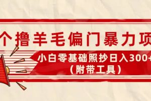 外面賣998的三個擼羊毛項目，小白零基礎照抄（附帶工具）