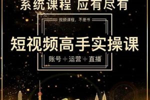 短視頻高手實操課：賬號 運營 直播，從入門到精通，系統課程，應有盡