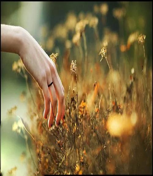 拼多多好評(píng)返現(xiàn)拼多多好評(píng)返現(xiàn)怎么罰罰多少錢插圖4