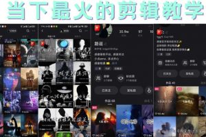 短時視頻朦朧詩文案號制作教程，實(shí)操7天漲粉20W 小白20分鐘看完直接上手