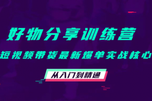 好物分享訓(xùn)練營：短視頻帶貨最新爆單實(shí)戰(zhàn)核心，從入門到精通