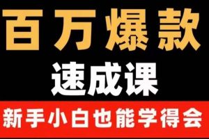 百萬爆款速成課：用數據思維做爆款，小白也能從0-1打造百萬播放視頻