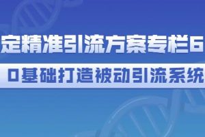 制定精準(zhǔn)引流方案專(zhuān)欄6.0，0基礎(chǔ)打造被動(dòng)引流系統(tǒng)