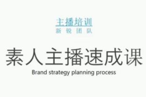 雨婷團隊·素人主播兩天養(yǎng)成計劃,月銷千萬的直播間腳本手把手教學(xué)落地