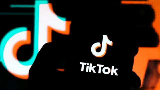 tiktok網頁入口urlebird插圖
