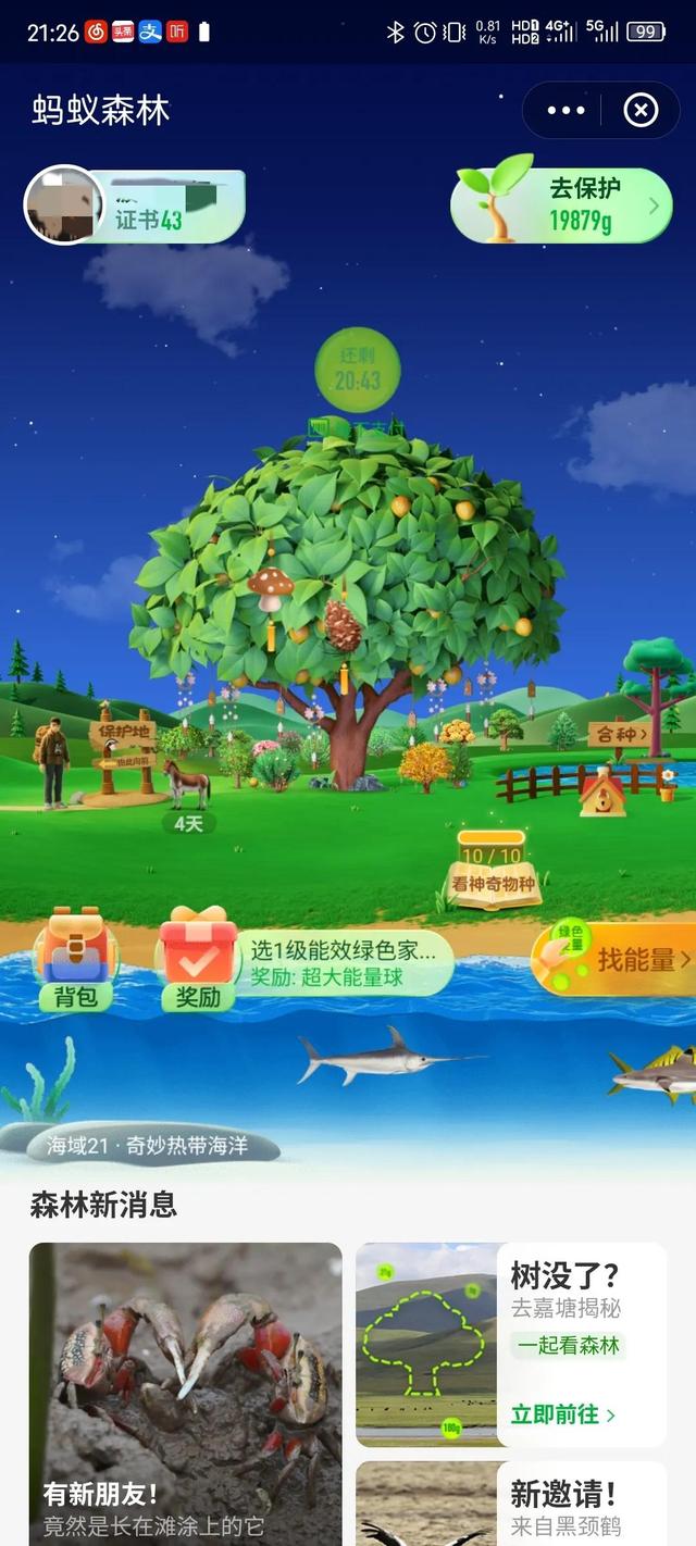 螞蟻森林—天9000能量螞蟻森林一天9000能量森林能量產(chǎn)生規(guī)則插圖1