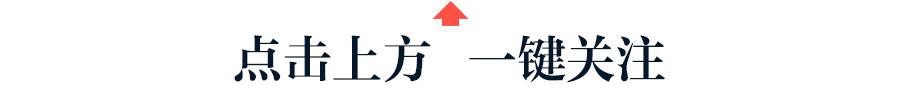 旅行團(tuán)旅行團(tuán)樂隊(duì)成員介紹插圖 旅行團(tuán)旅行團(tuán)樂隊(duì)成員介紹插圖