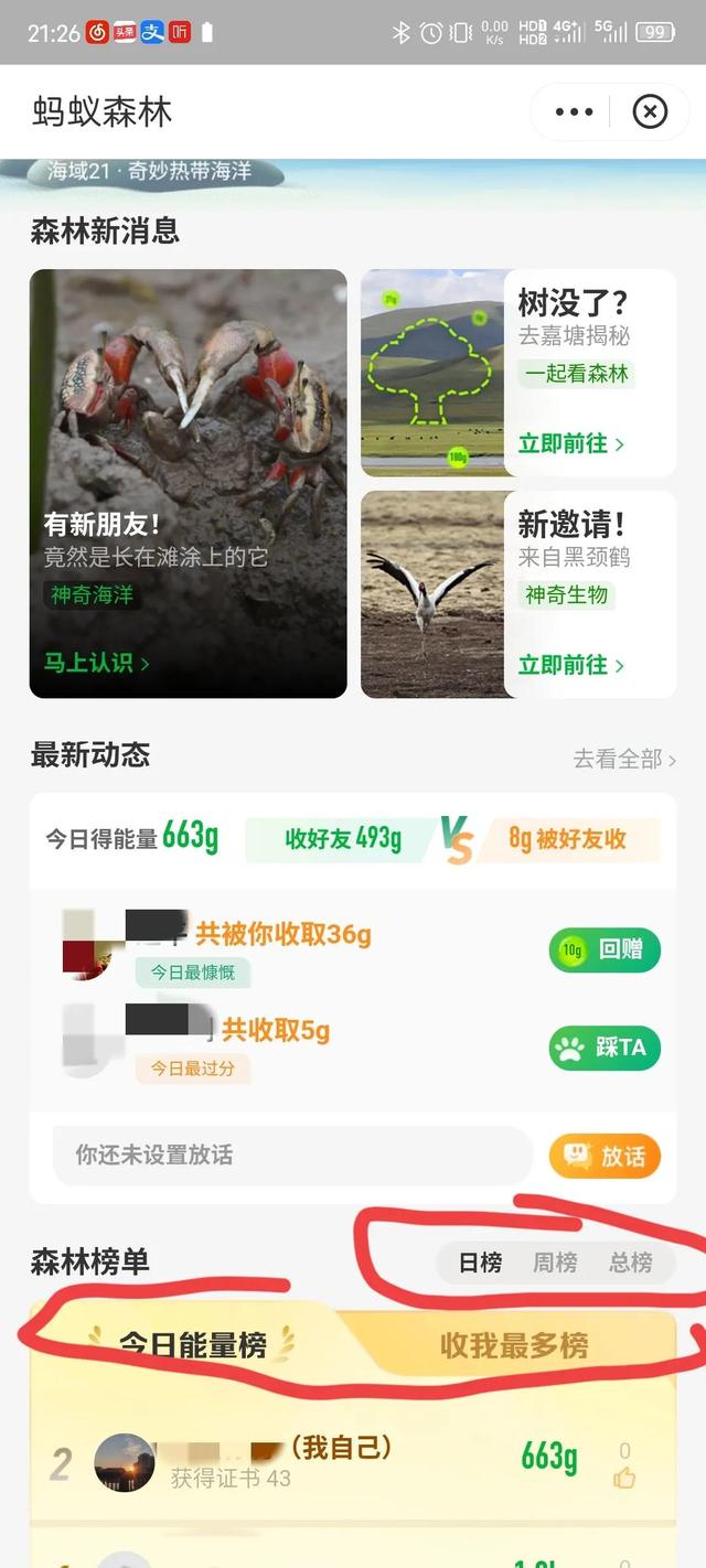 螞蟻森林—天9000能量螞蟻森林一天9000能量森林能量產(chǎn)生規(guī)則插圖3