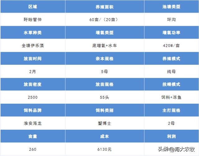 —個10畝魚塘養魚利潤10畝池塘養魚利潤插圖2