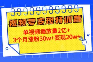 20天視頻號變現(xiàn)特訓(xùn)營：單視頻播放量2億