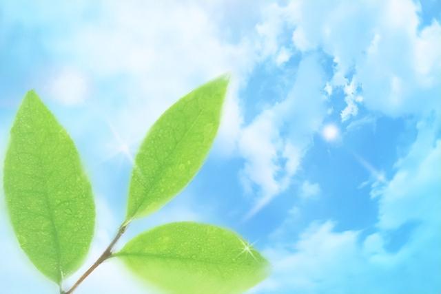 最聰明的存錢法12個月最聰明的存錢法是存折還是卡插圖1 最聰明的存錢法12個月最聰明的存錢法是存折還是卡插圖1
