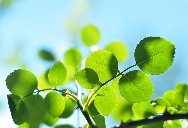 最聰明的存錢法12個月最聰明的存錢法是存折還是卡插圖3 最聰明的存錢法12個月最聰明的存錢法是存折還是卡插圖3