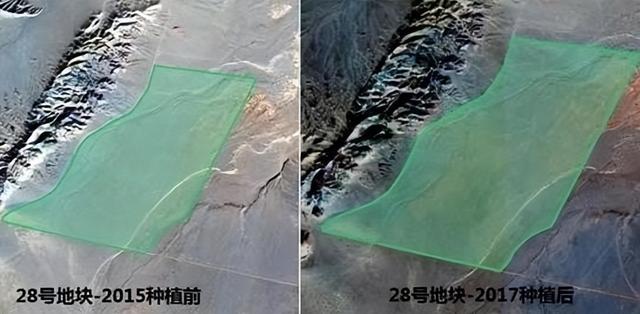 螞蟻森林暴露消費記錄通過螞蟻森林看消費記錄插圖3 螞蟻森林暴露消費記錄通過螞蟻森林看消費記錄插圖3