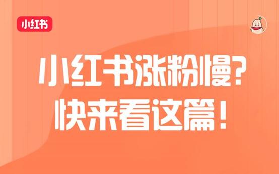 小紅書(shū)買(mǎi)500個(gè)粉絲小紅書(shū)買(mǎi)500個(gè)粉絲插圖1