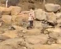 世界上最恐怖的孔雀世界上最恐怖的孔雀長什么樣子插圖