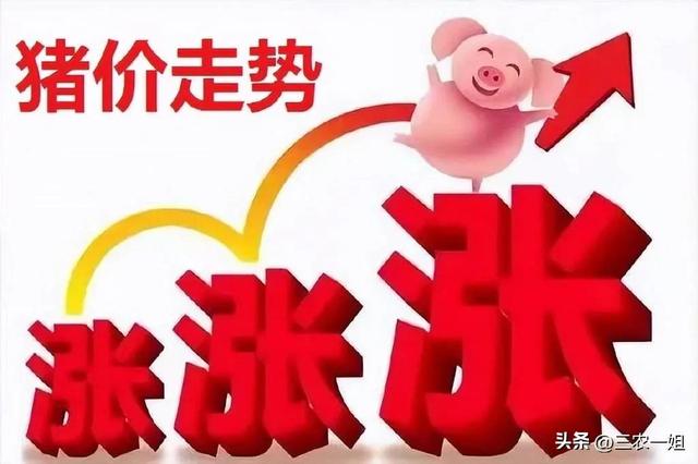 2022年養什么掙錢最快的2022年養啥最掙錢東北插圖