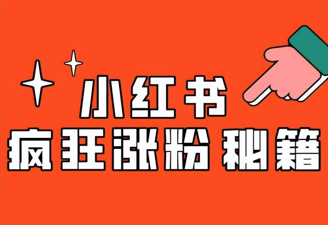 小紅書(shū)買(mǎi)500個(gè)粉絲小紅書(shū)買(mǎi)500個(gè)粉絲插圖2
