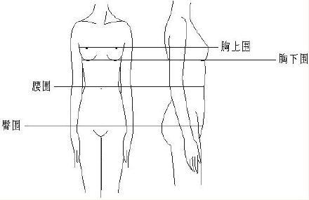 正常腰圍標準對照表女正常腰圍標準對照表男插圖3