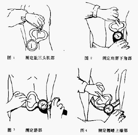 正常腰圍標準對照表女正常腰圍標準對照表男插圖2