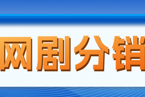 網劇分銷，新藍海項目，很輕松，現(xiàn)在入場是非常好的時機