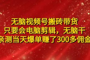 無腦視頻號搬磚帶貨，只要會電腦剪輯，無腦干