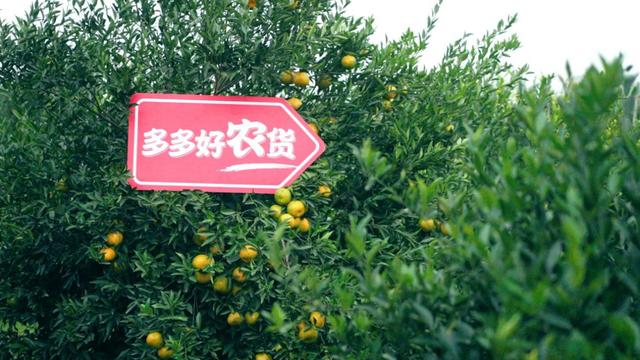 拼多多助力全是福氣滿滿拼多多福氣滿滿還有希望嗎插圖1