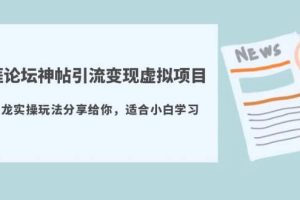 天涯論壇神帖引流變現虛擬項目，一條龍實操玩法分享給你（教程 資源）