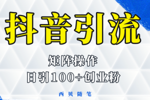 抖音引流術，矩陣操作，一天能引100多創業粉