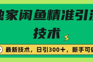 獨家閑魚引流技術，日引300＋實戰玩法