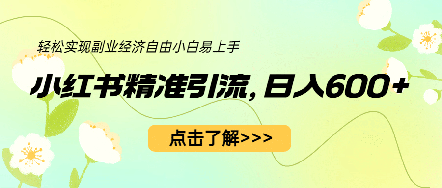 小紅書精準(zhǔn)引流，小白日入600 ，輕松實現(xiàn)副業(yè)經(jīng)濟(jì)自由（教程 1153G資源）插圖