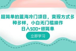 超簡單的藍海冷門項目，變現方式多種多樣，小白無門檻操作日入500 很簡單