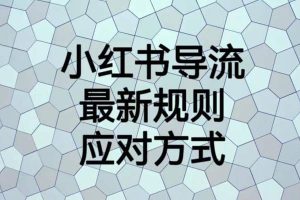 小紅書導(dǎo)流最新規(guī)則應(yīng)對(duì)方式【揭秘】