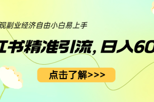 小紅書精準(zhǔn)引流，小白日入600 ，輕松實現(xiàn)副業(yè)經(jīng)濟(jì)自由（教程 1153G資源）