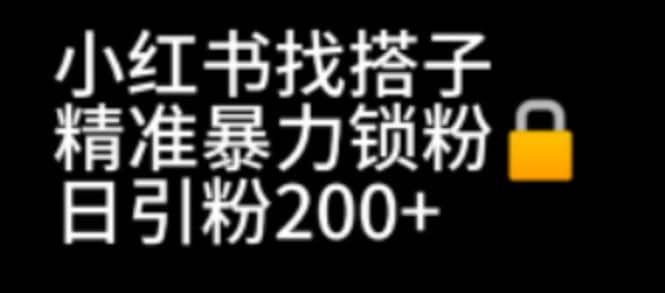 小紅書找搭子暴力精準(zhǔn)鎖粉 引流日引200 精準(zhǔn)粉插圖