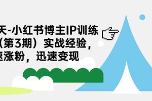 28天-小紅書博主IP訓(xùn)練營（第3期）實(shí)戰(zhàn)經(jīng)驗，快速漲粉，迅速變現(xiàn)