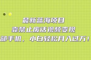 最新藍海項目，靠禁止廢話視頻變現，一部手機，小白輕松月入過萬！