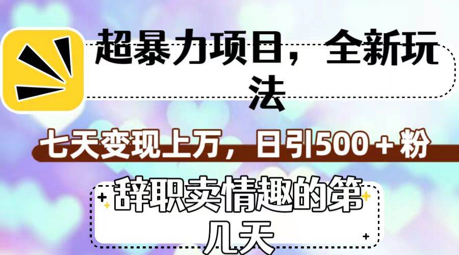 超暴利項目，全新玩法（辭職賣情趣的第幾天），七天變現上萬，日引500 粉插圖
