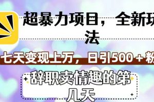 超暴利項目，全新玩法（辭職賣情趣的第幾天），七天變現上萬，日引500 粉