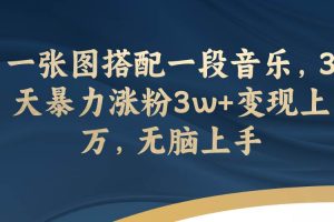 一張圖搭配一段音樂，3天暴力漲粉3w 變現上萬，無腦上手