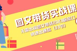 圖文帶貨實戰(zhàn)課：無需出鏡圖文帶貨2023新風口，快速出爆款（33節(jié)）