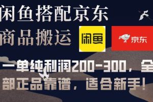 閑魚搭配京東備份庫搬運，一單純利潤200-300，全部正品靠譜，適合新手！