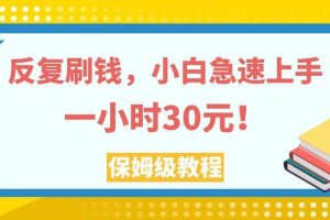 反復刷錢，小白急速上手，一個小時30元，實操教程。