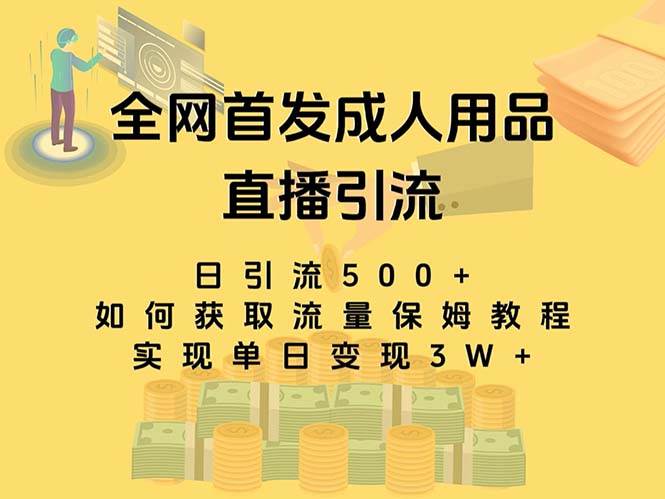 最新全網獨創首發，成人用品直播引流獲客暴力玩法，單日變現3w保姆級教程插圖